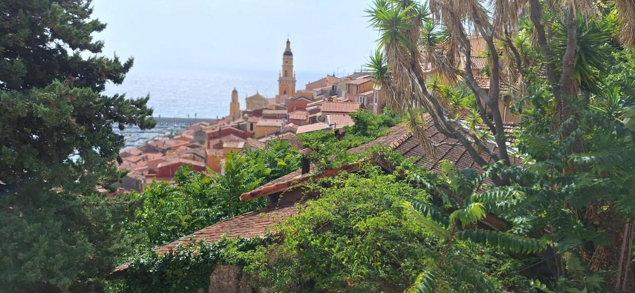 Studio Lumineux Avec Parking Proche Monaco, Nice, Plage Et Gare 멍똥 외부 사진